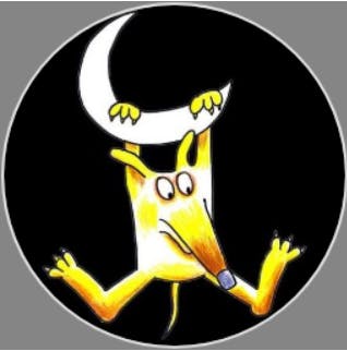 user avatar image for Bruno