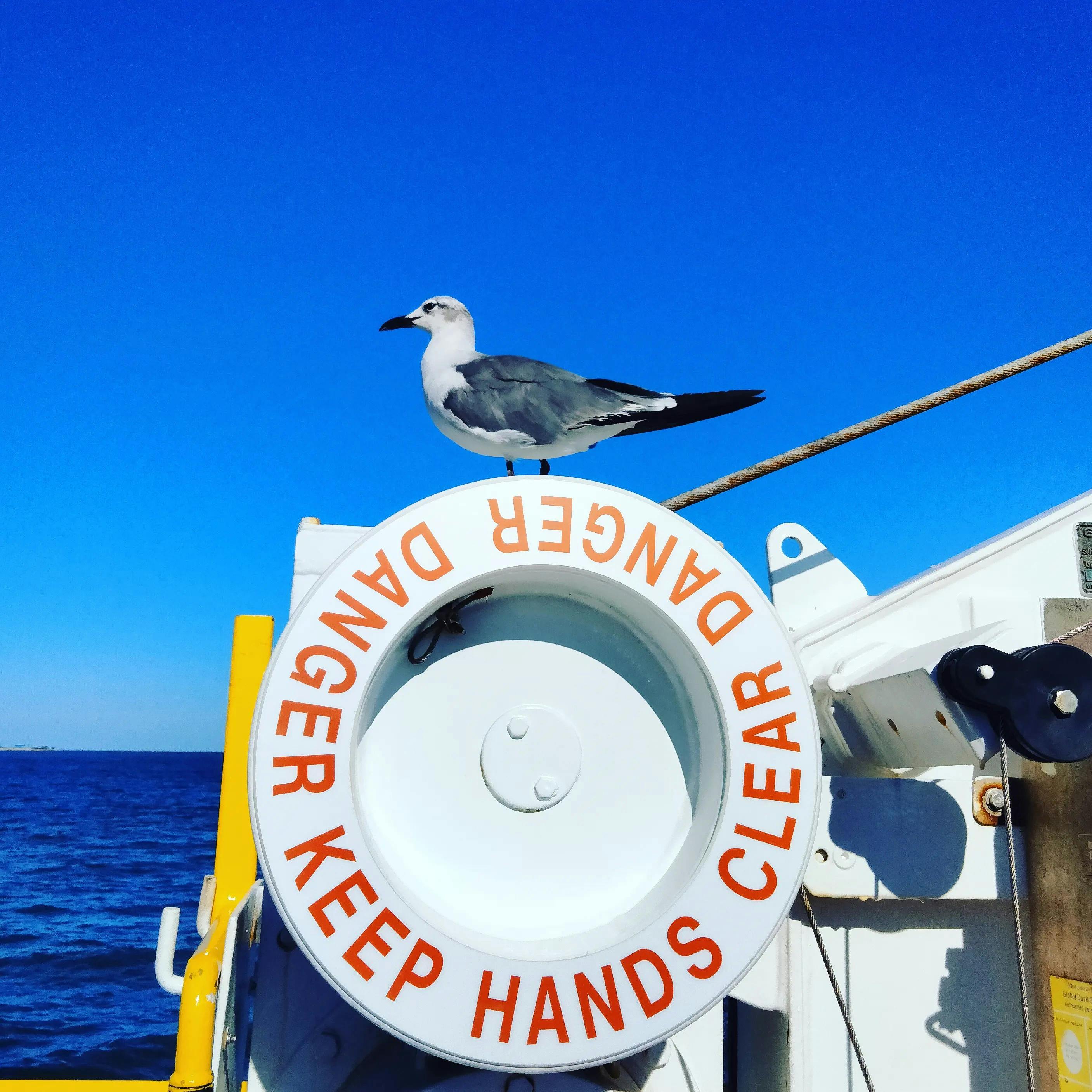 user avatar image for Arty