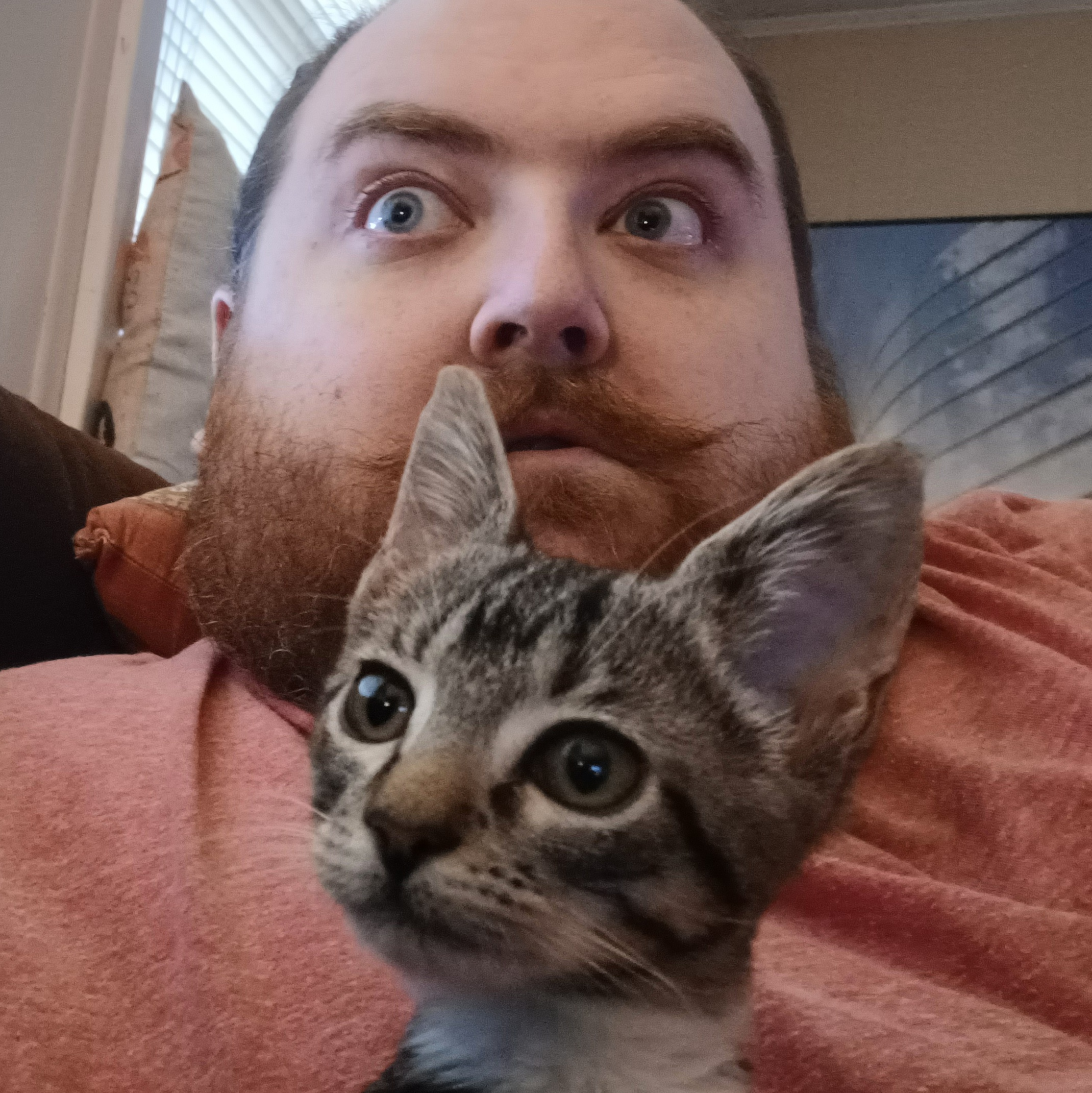 user avatar image for Justin Houston