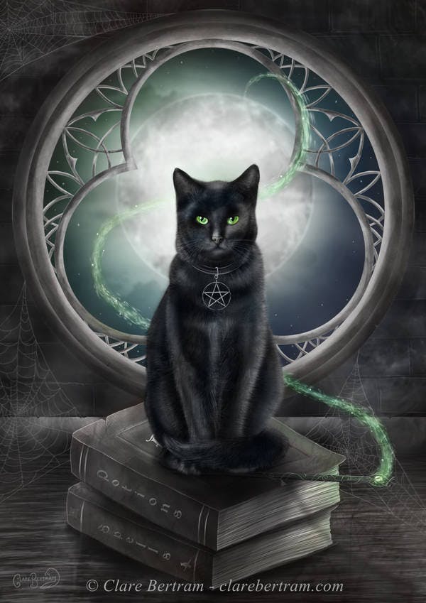 user avatar image for SammyB2023