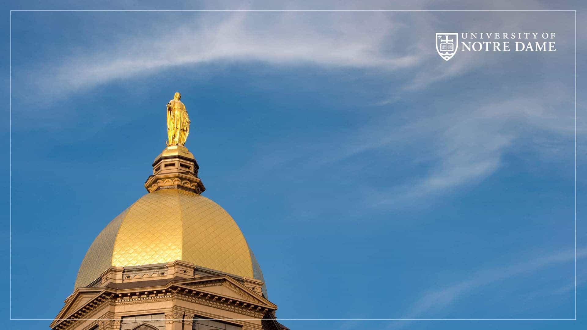 user avatar image for Strctly