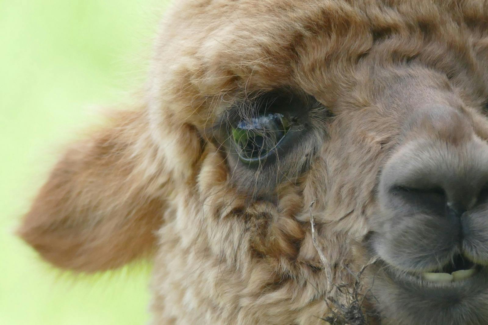 user avatar image for Daniëlle