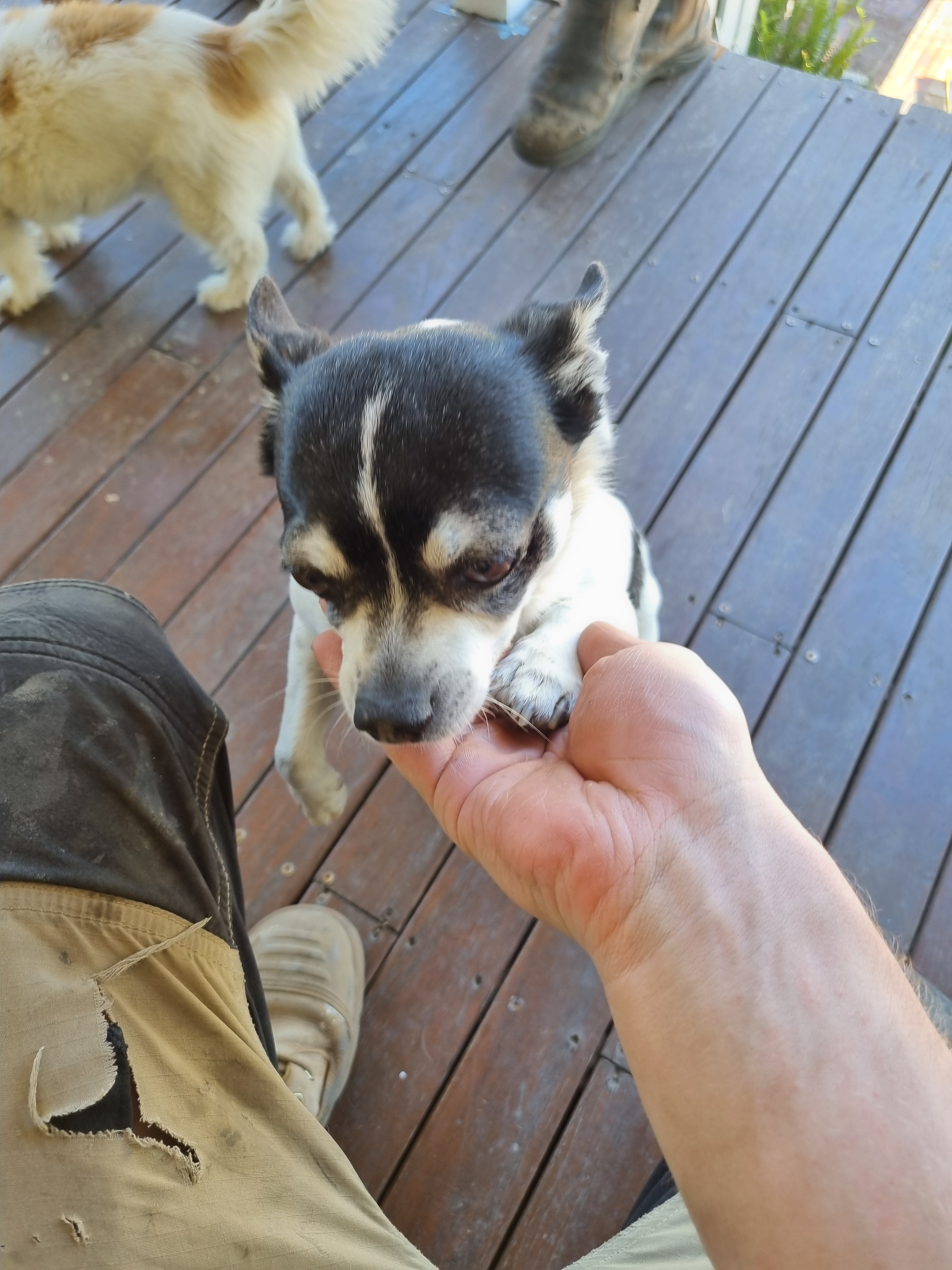 user avatar image for Cooper