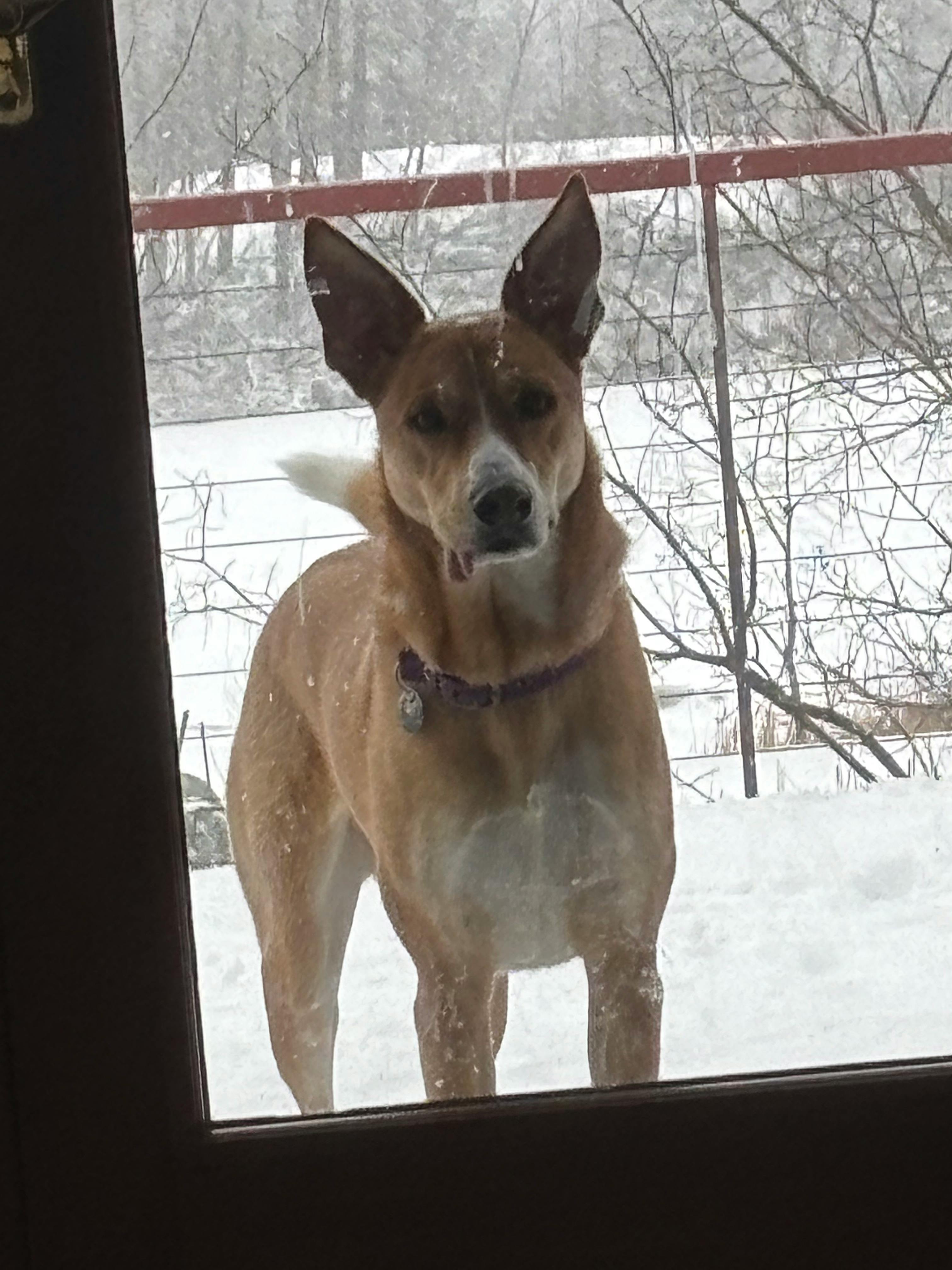 user avatar image for Emily