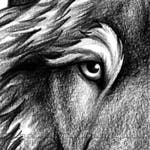 user avatar image for Nat