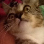 user avatar image for Harvey