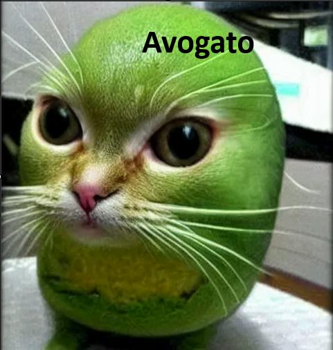 user avatar image for Hunter