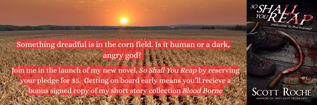 So Shall You Reap - A Horror/Thriller Novel