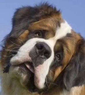 user avatar image for Darrell O