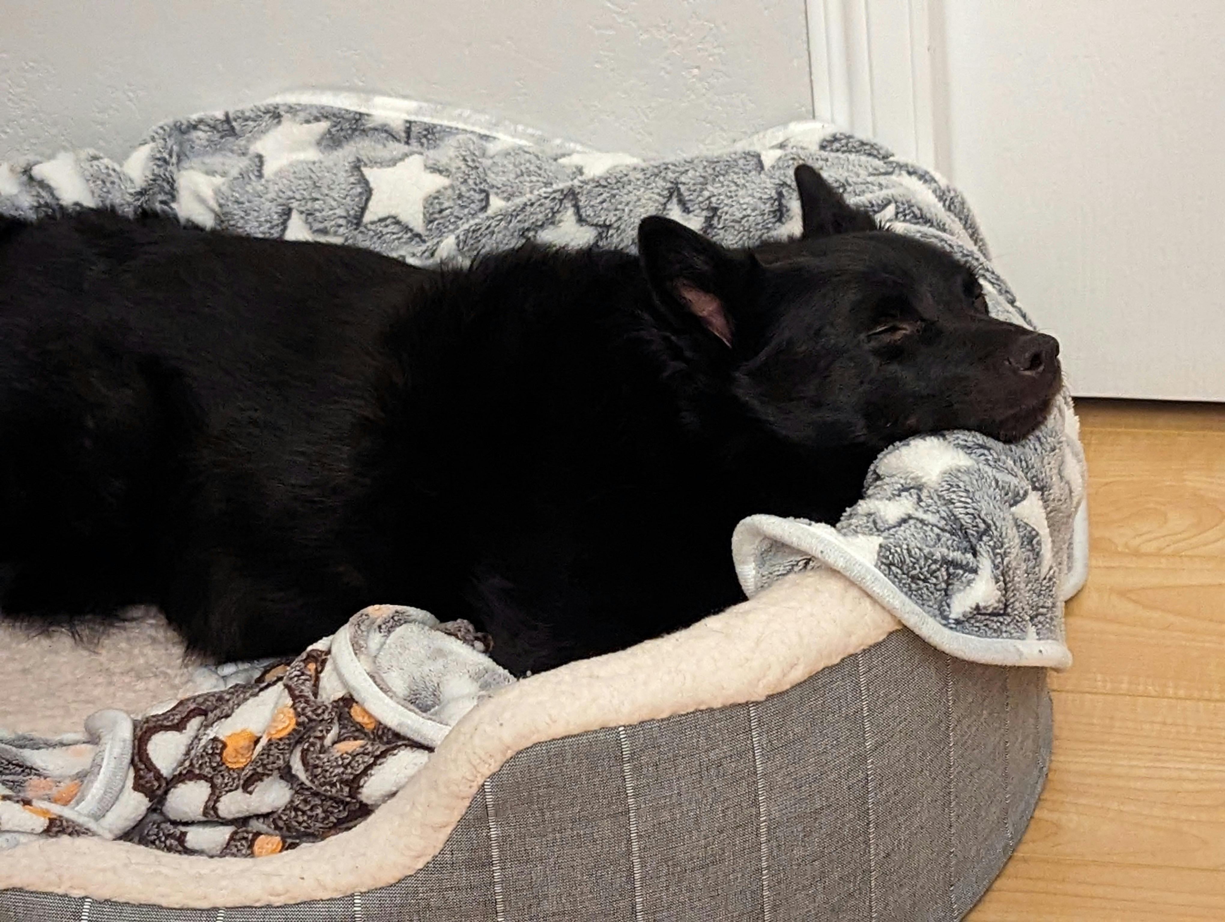 user avatar image for Andy