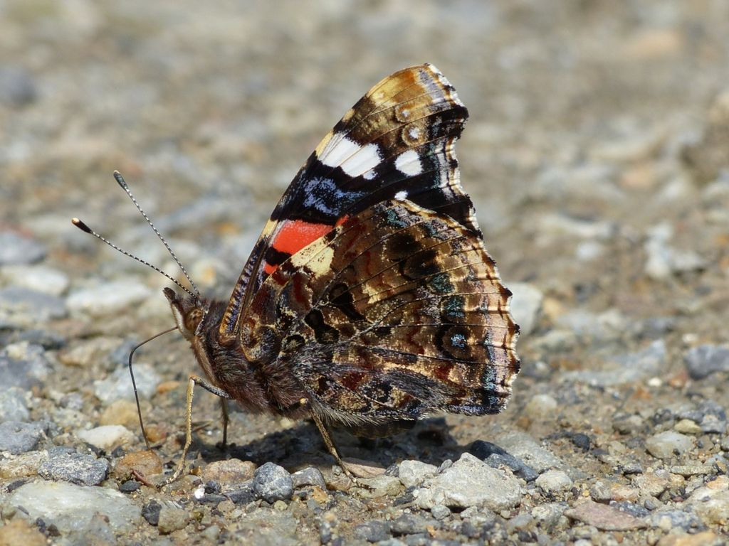 user avatar image for Maxe