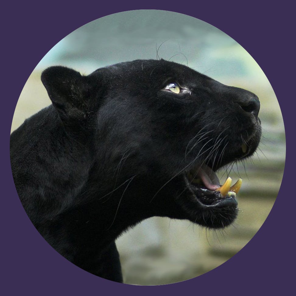 user avatar image for Jennifer Menite