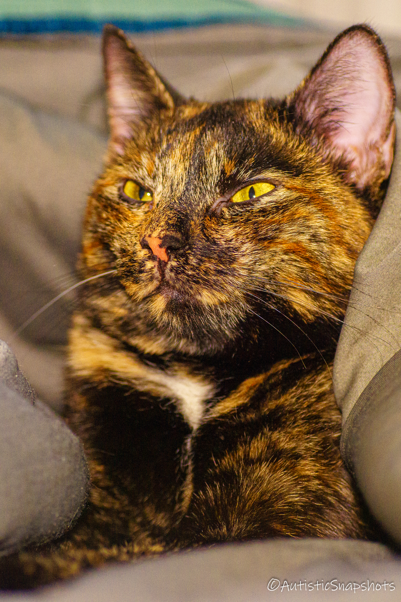 user avatar image for Marko