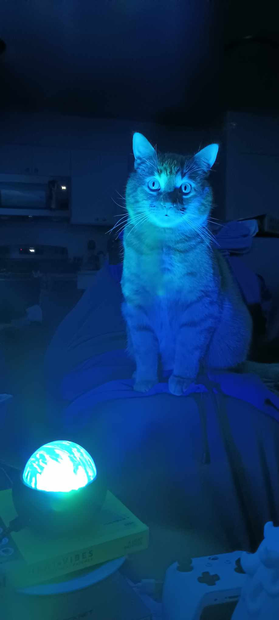 user avatar image for theLastKnight70