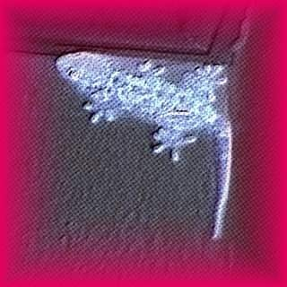 user avatar image for RevocerGM (Ben Chandler)