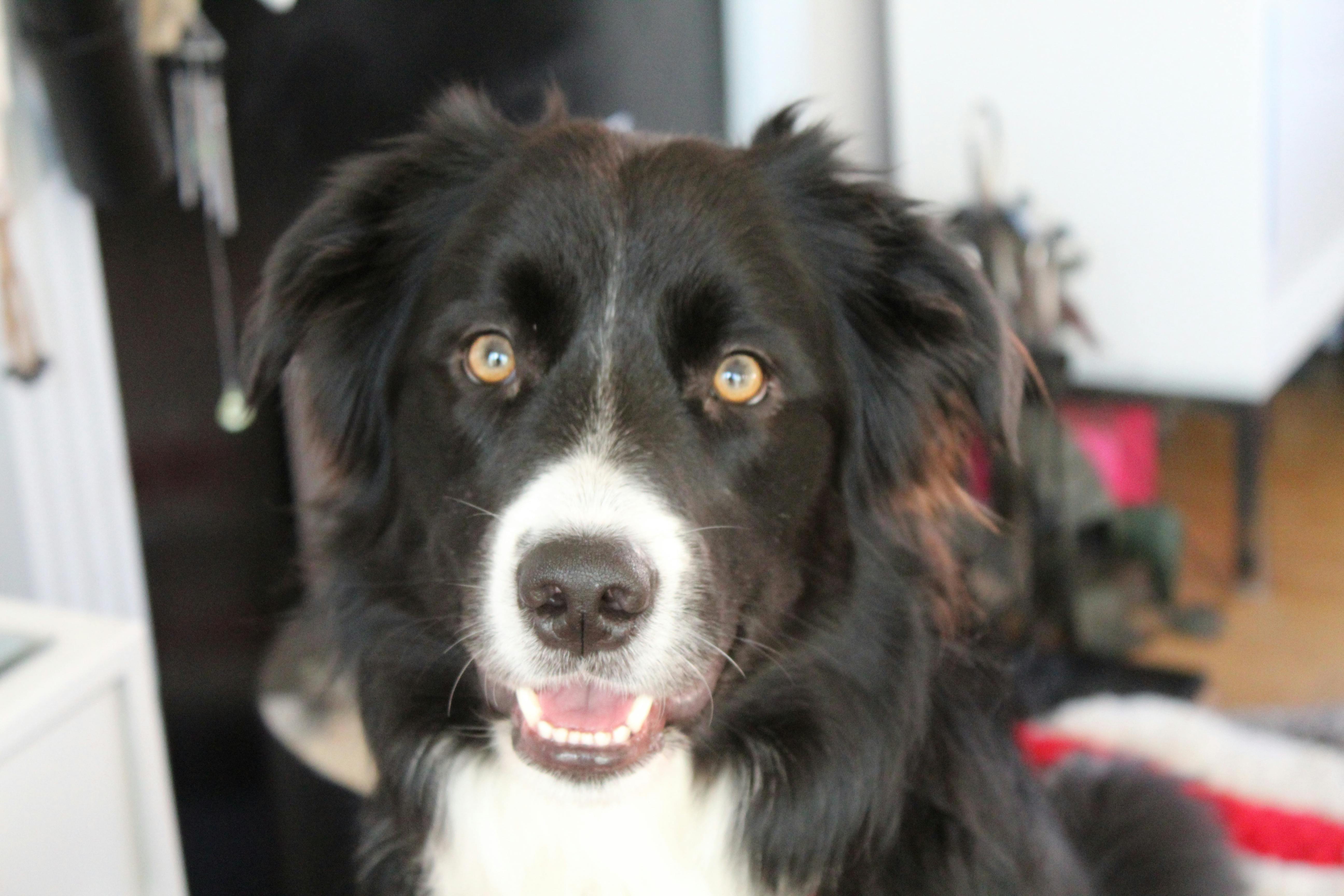 user avatar image for C Jinkins