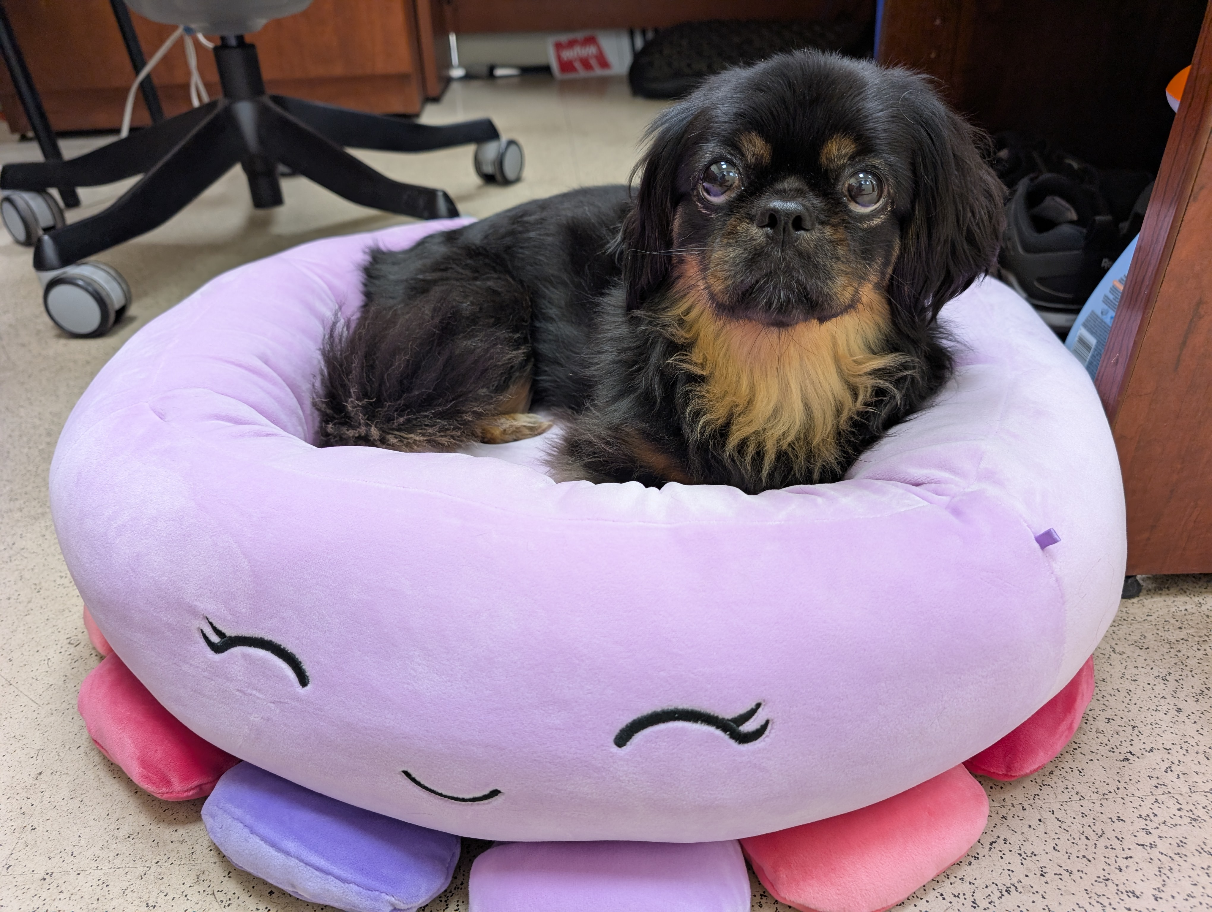 user avatar image for Aliseayah