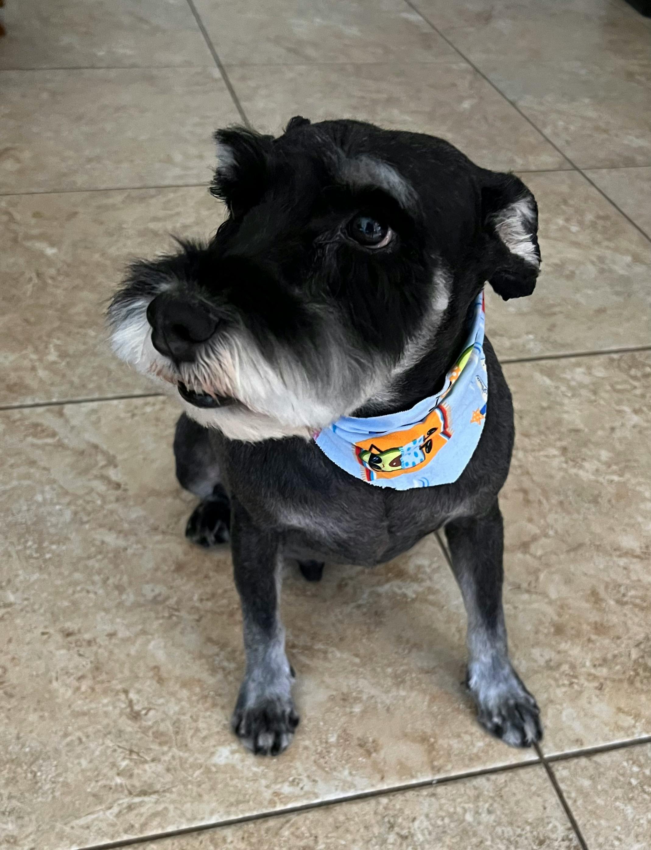 user avatar image for Annette W