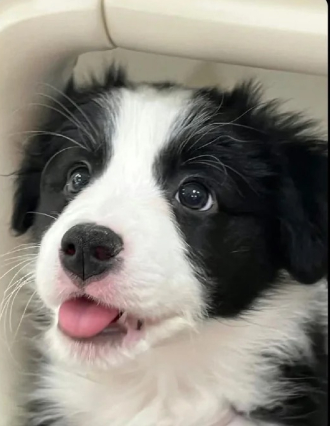 user avatar image for Anneliese Lopez