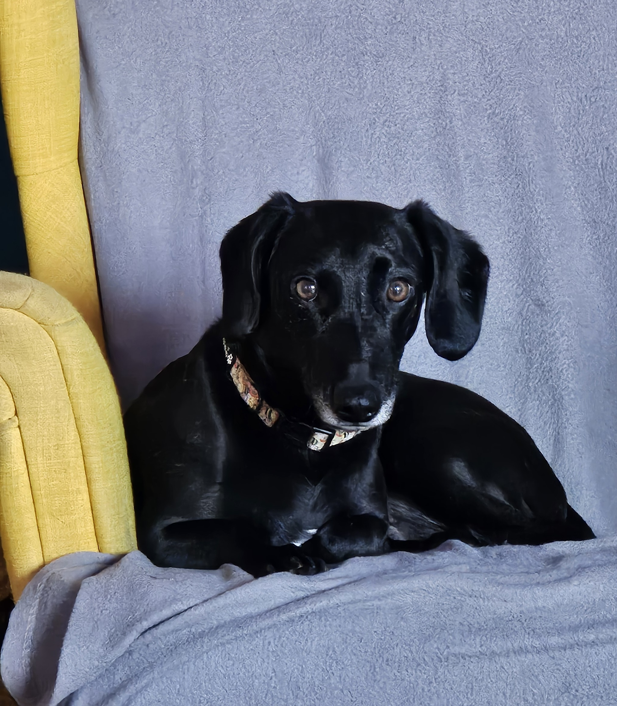 user avatar image for Saffy81