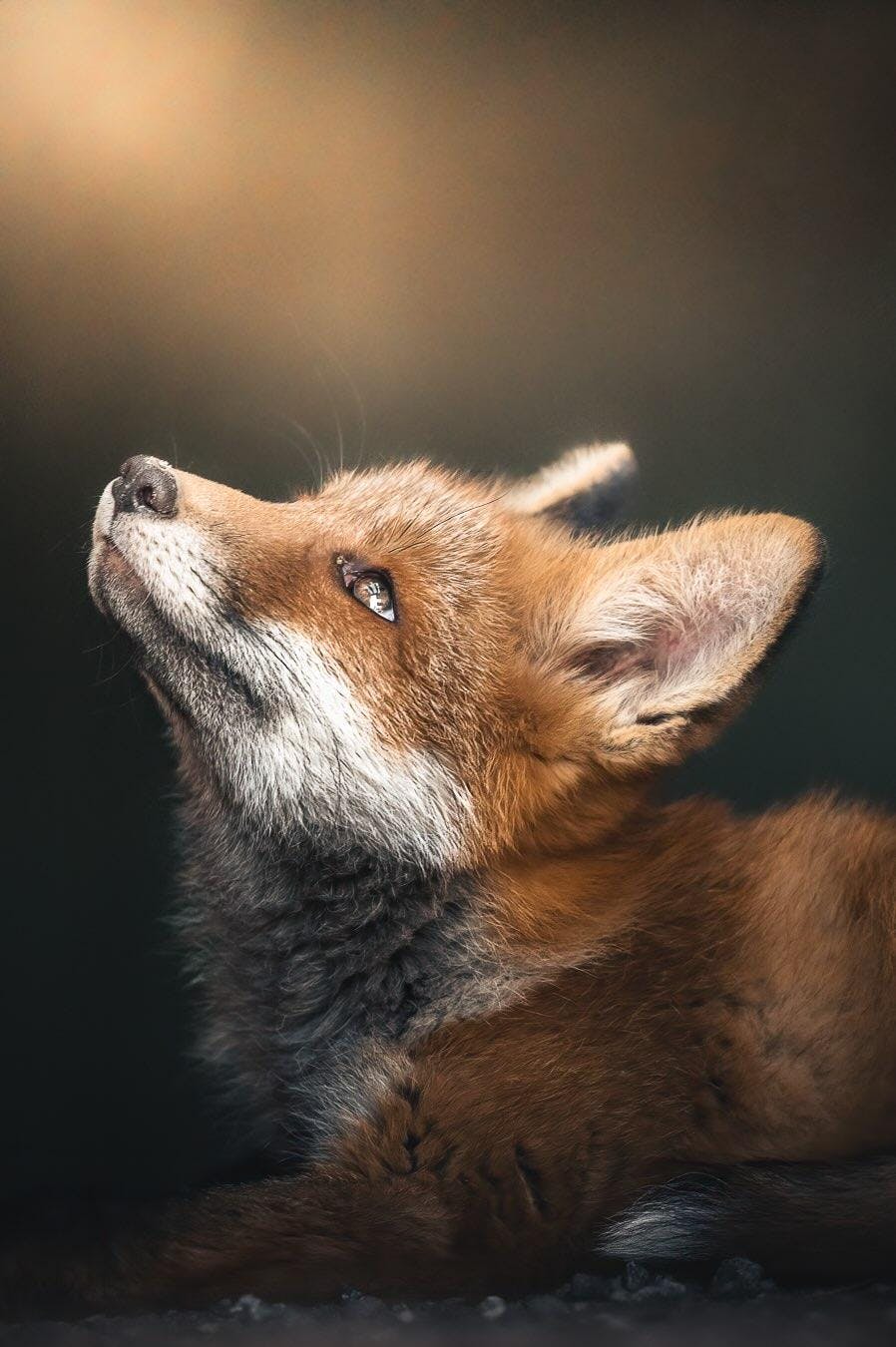 user avatar image for Monique 