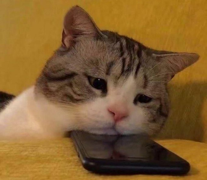 user avatar image for Peter Taylor