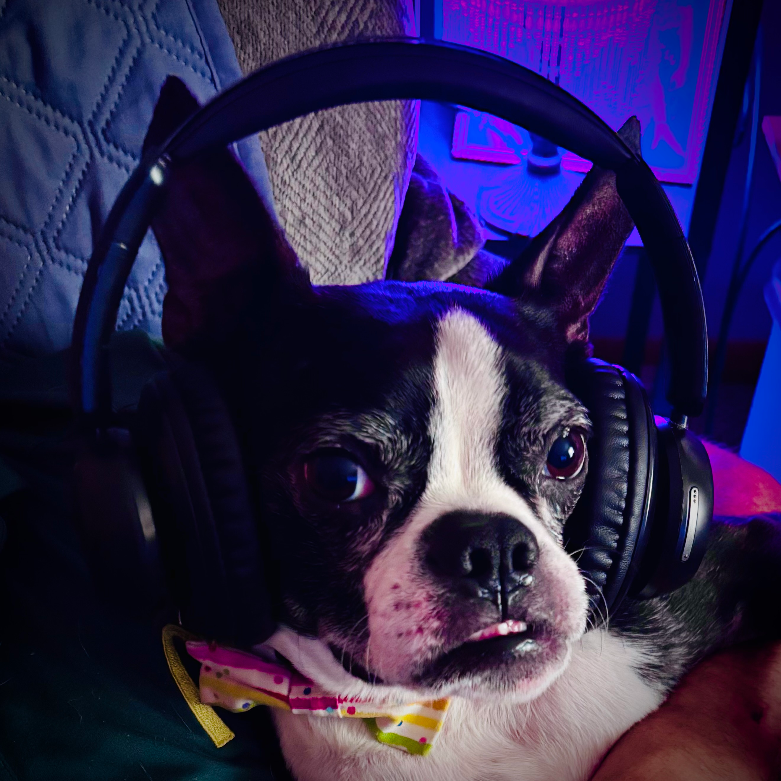 user avatar image for tunifish