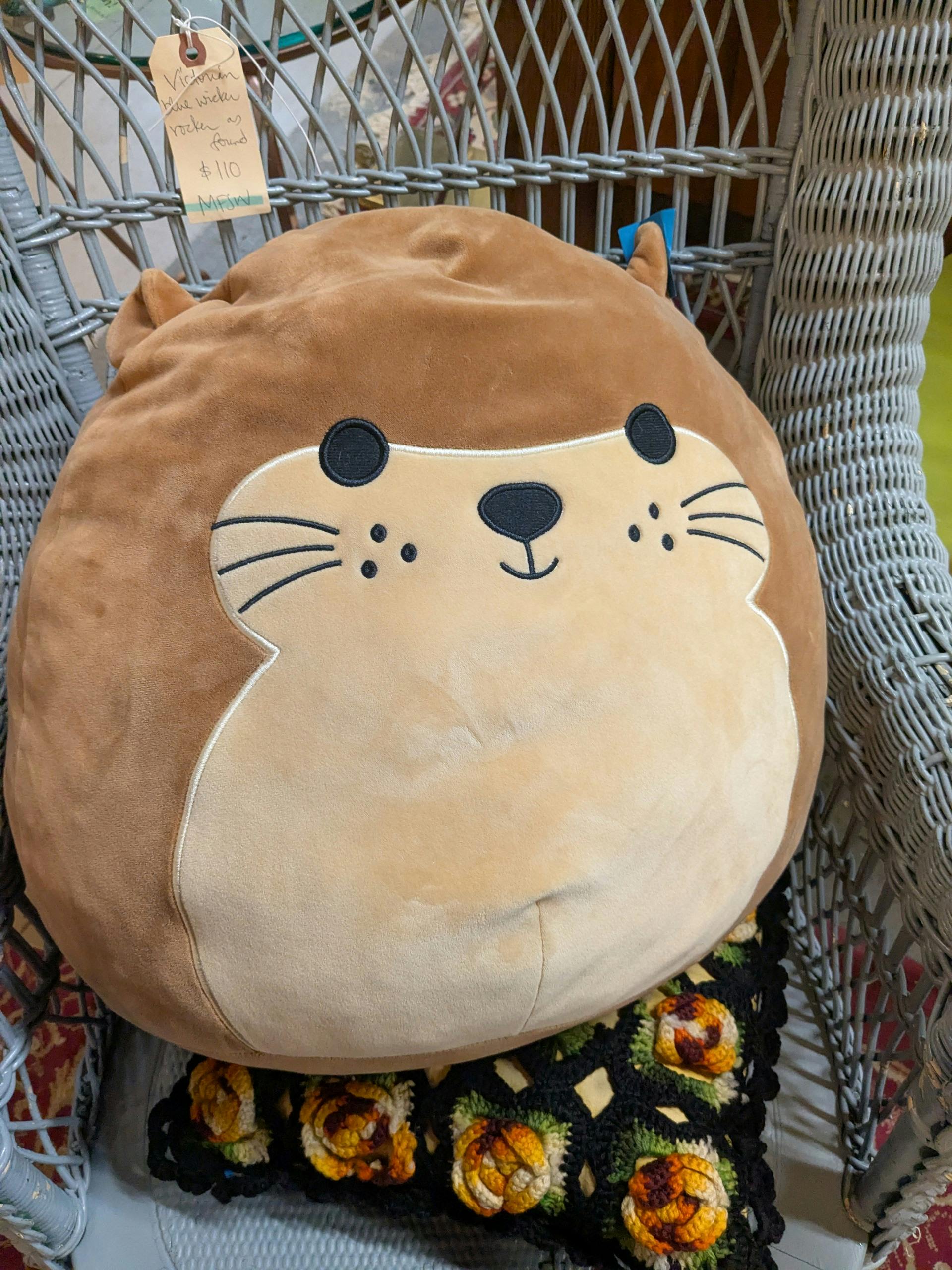 user avatar image for Sierra