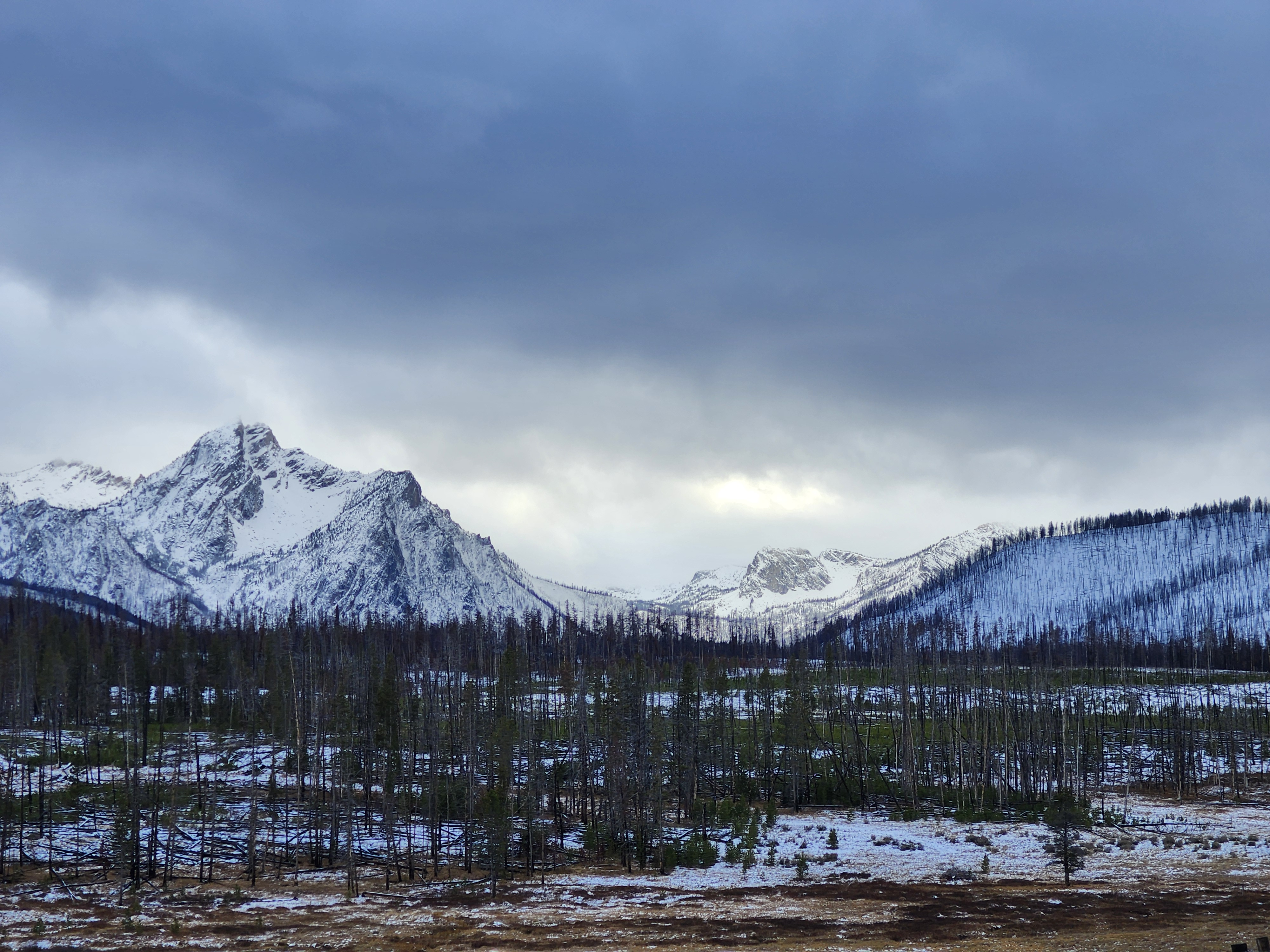 user avatar image for Devil's Coin