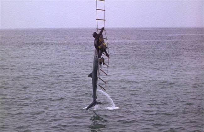 user avatar image for Kevvo