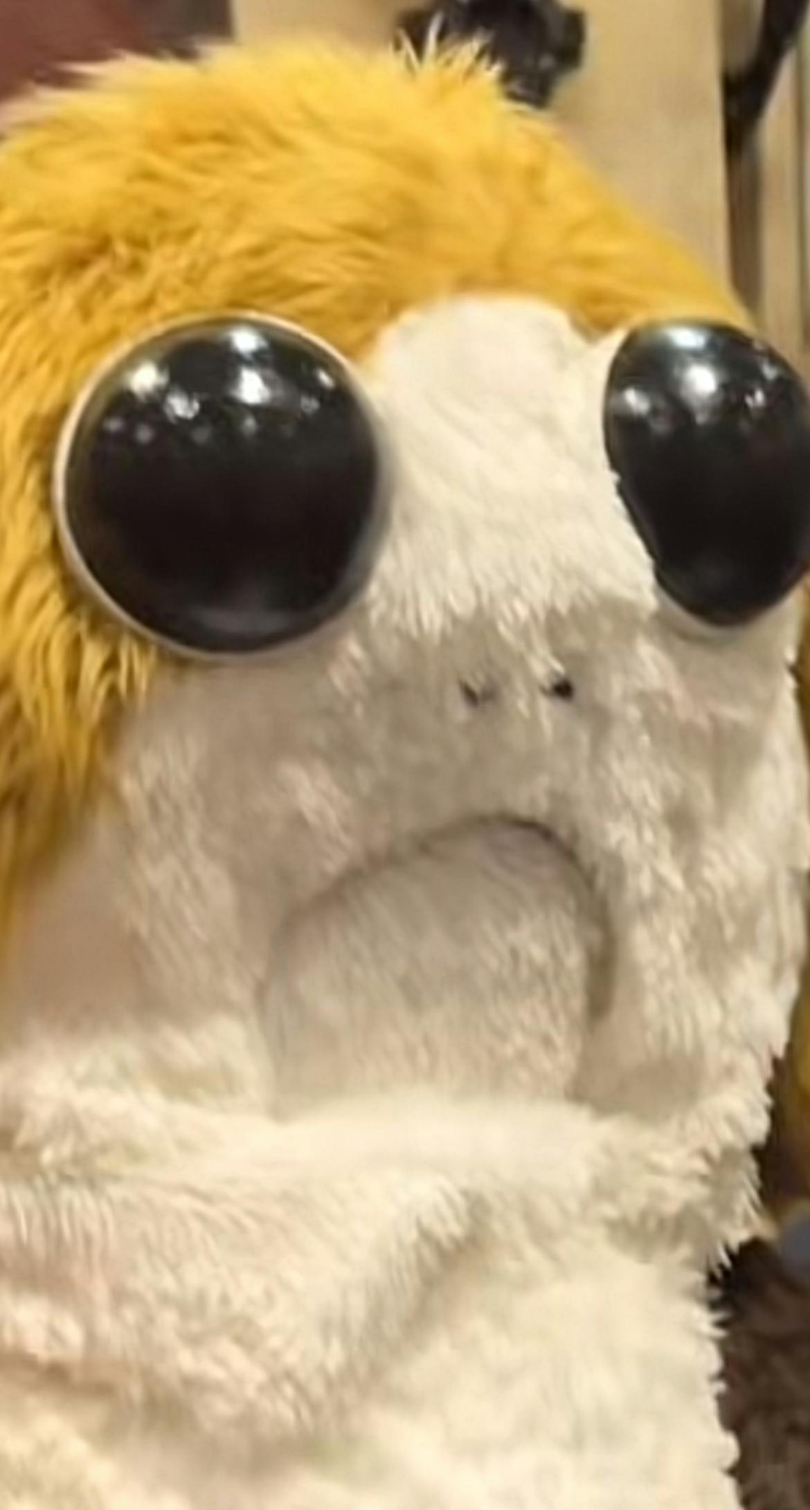 user avatar image for TheShannara