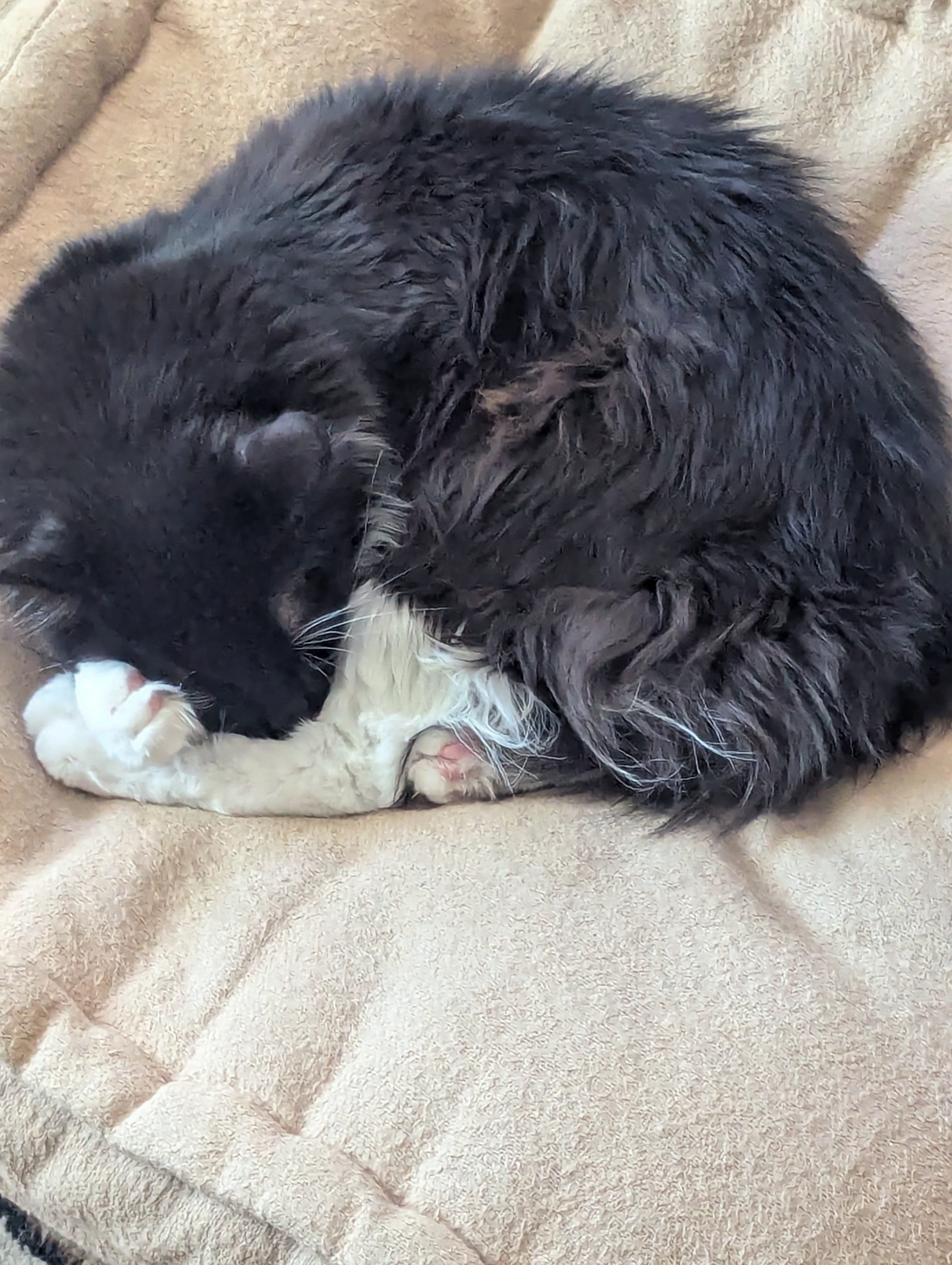 user avatar image for KadewithaK