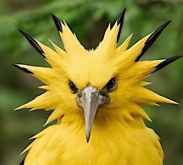 user avatar image for Aesthetic_Nomad