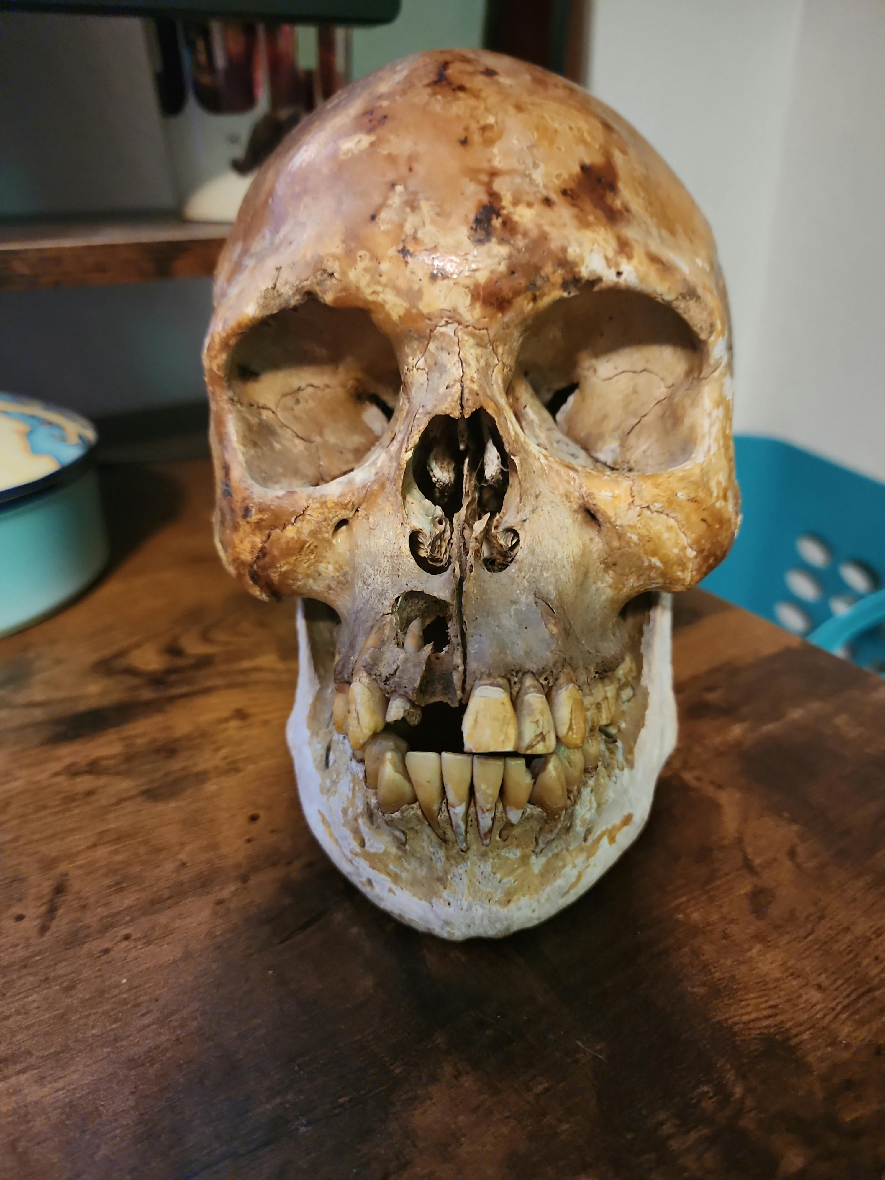 user avatar image for Christopher Dumas