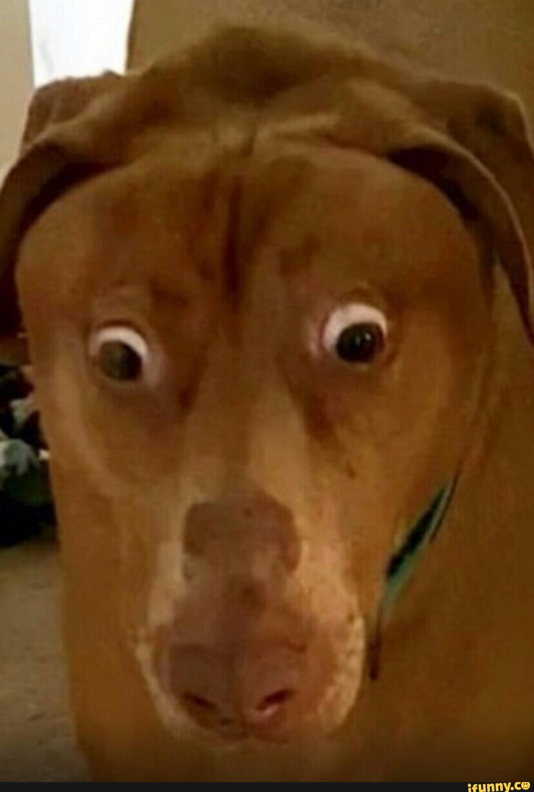 user avatar image for Matthew Benitez 