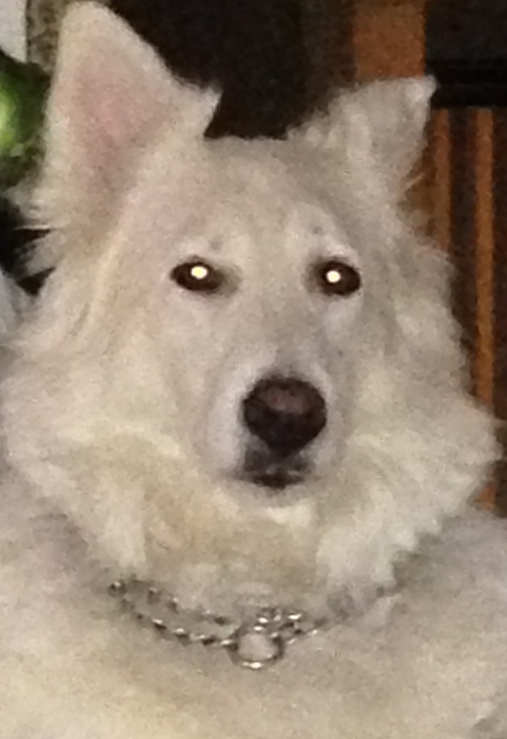 user avatar image for ceola
