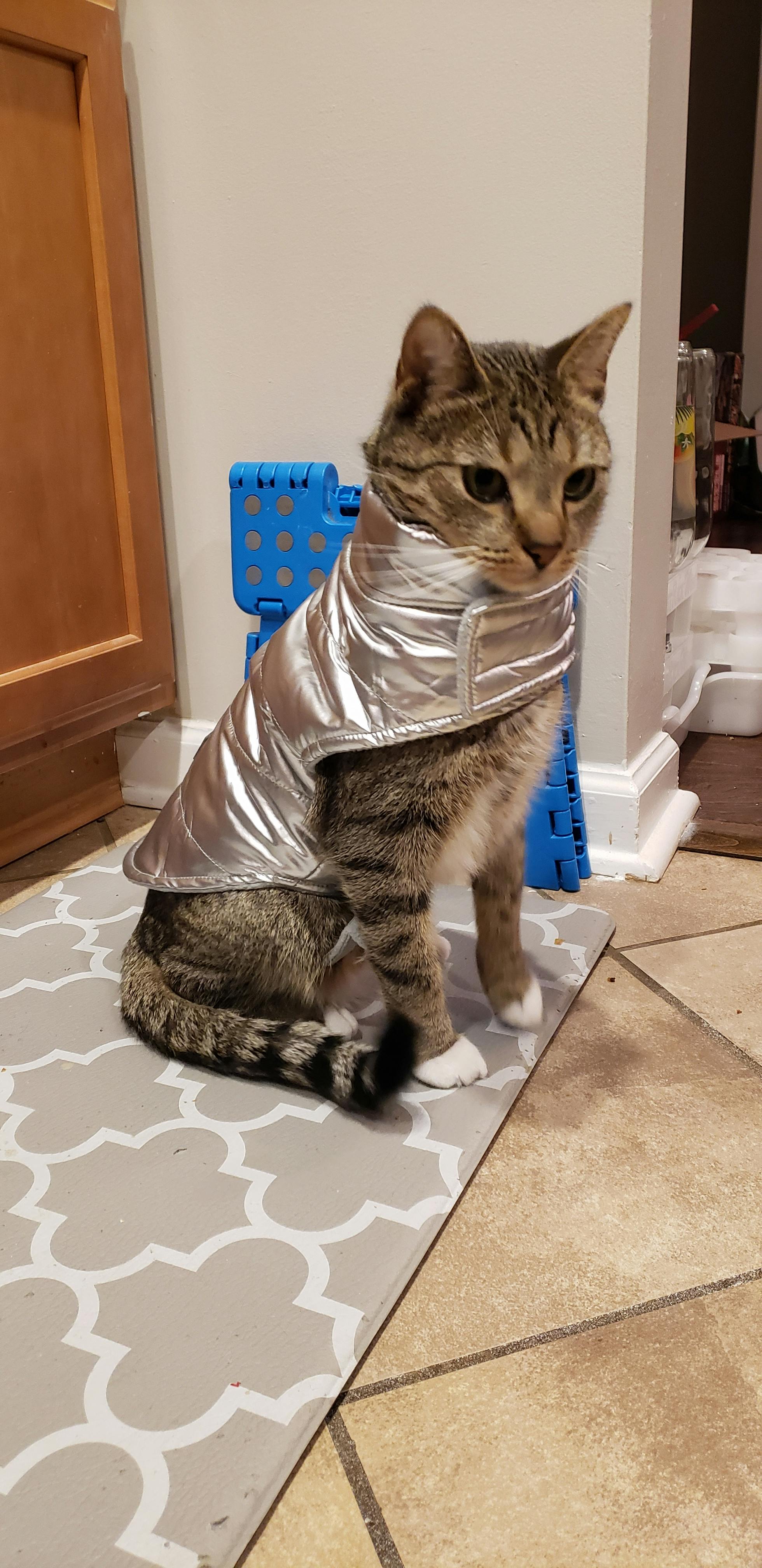 user avatar image for Bekah 