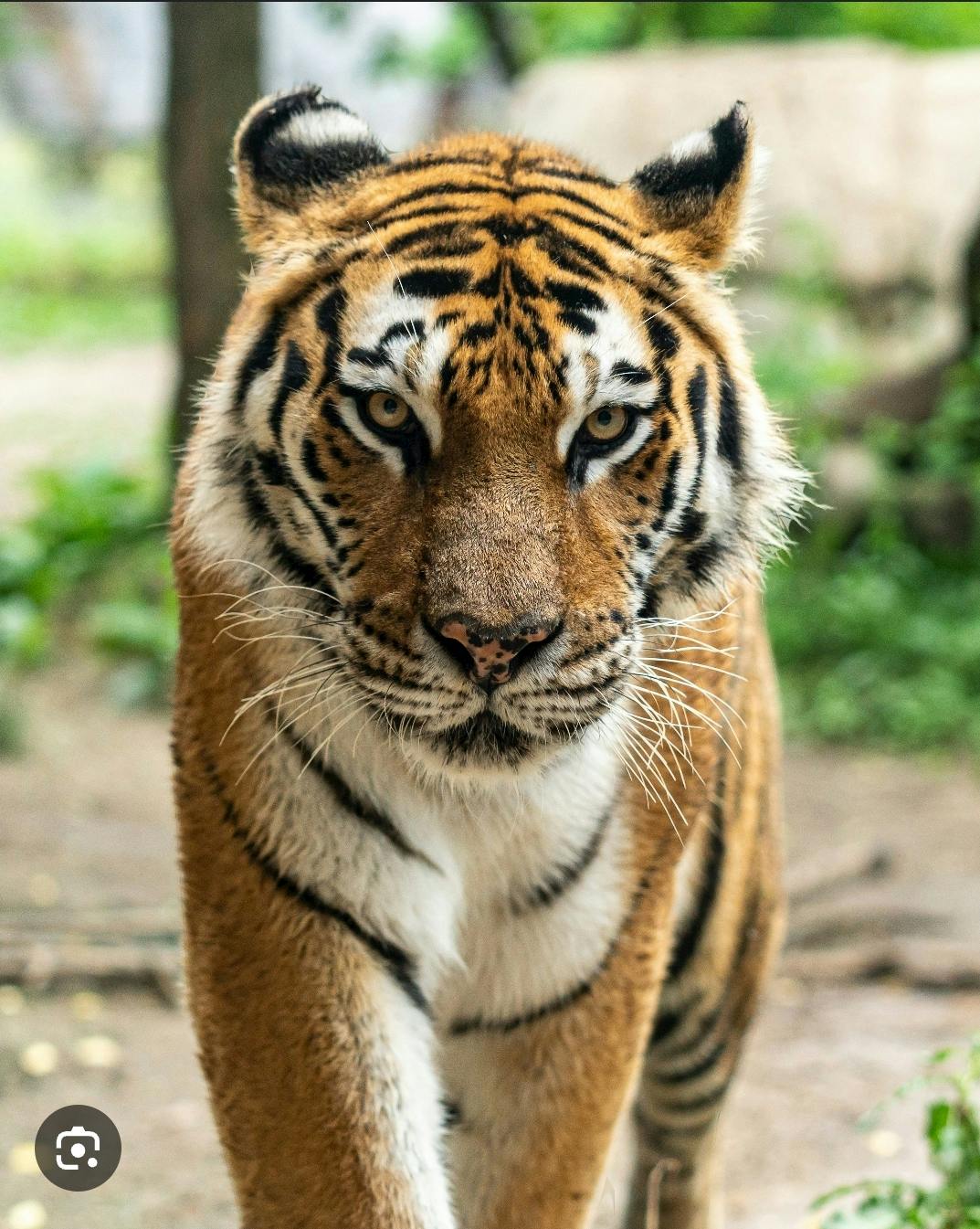 user avatar image for Cyclops74