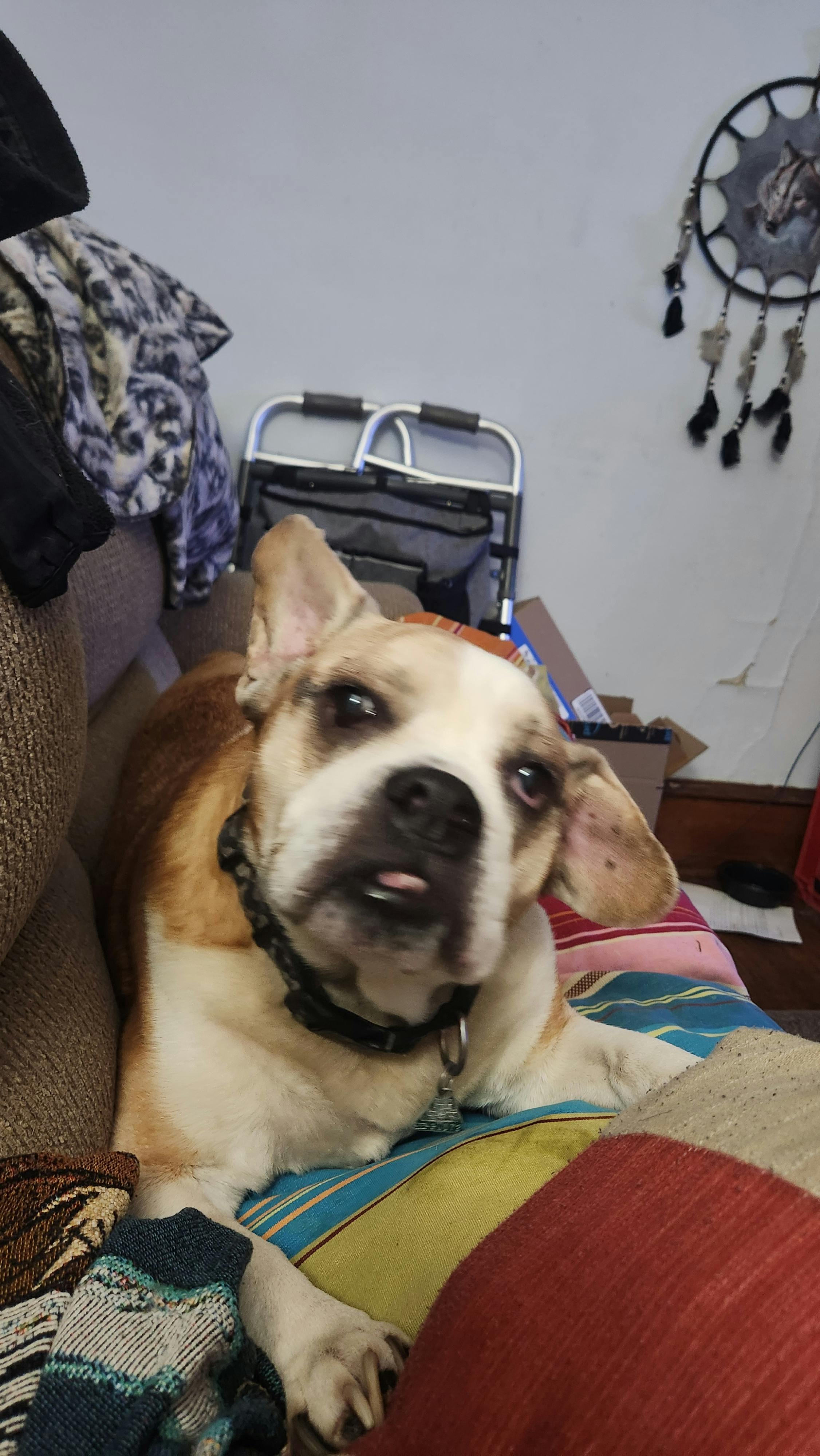 user avatar image for David Thomas 