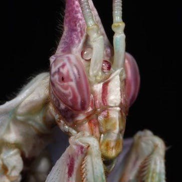 user avatar image for Highway to Shell