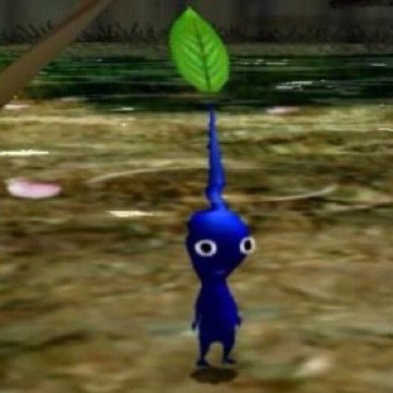user avatar image for Kyle