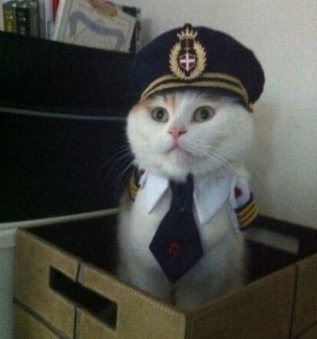 user avatar image for Patrick OShea