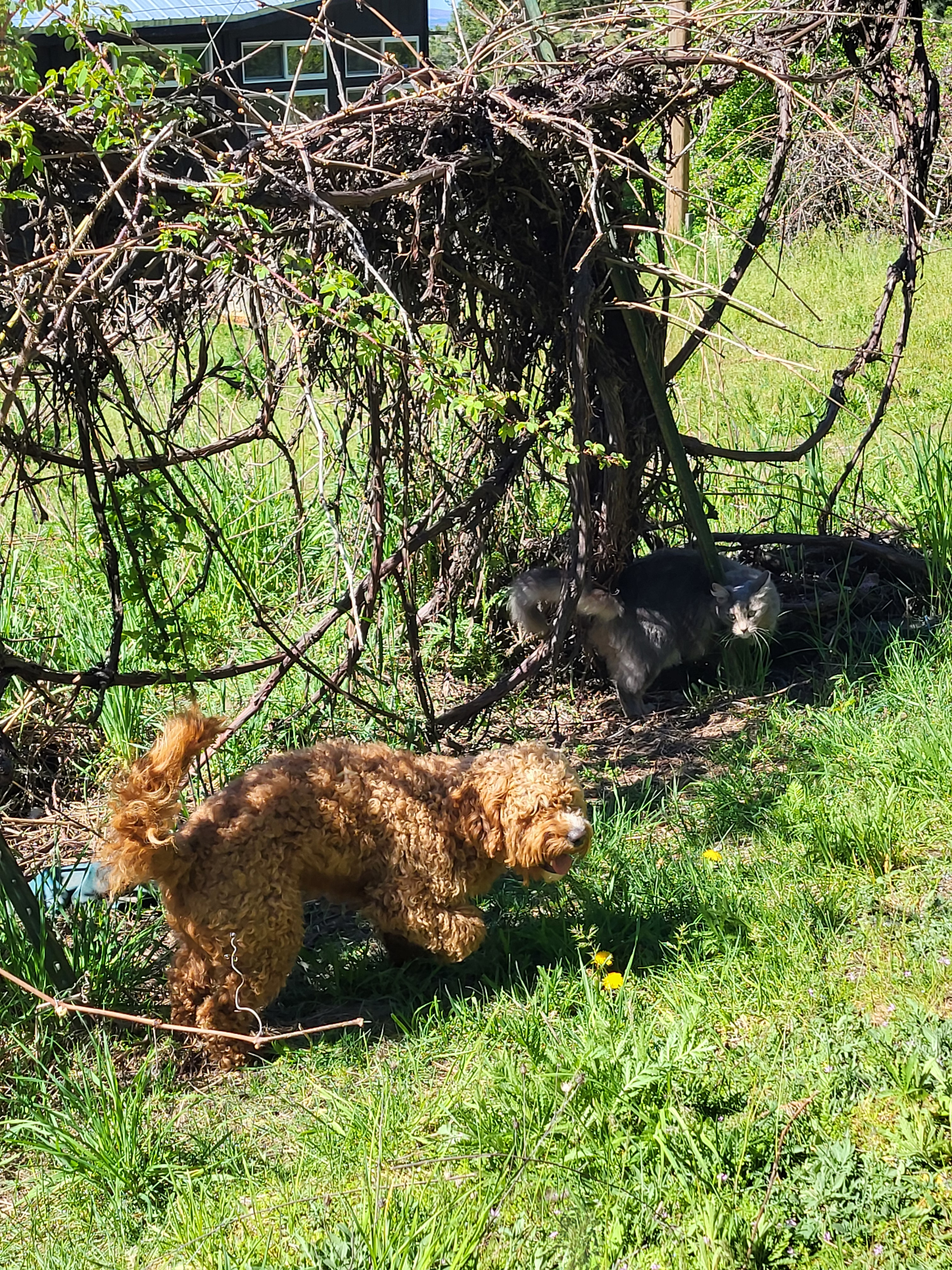 user avatar image for Keekee