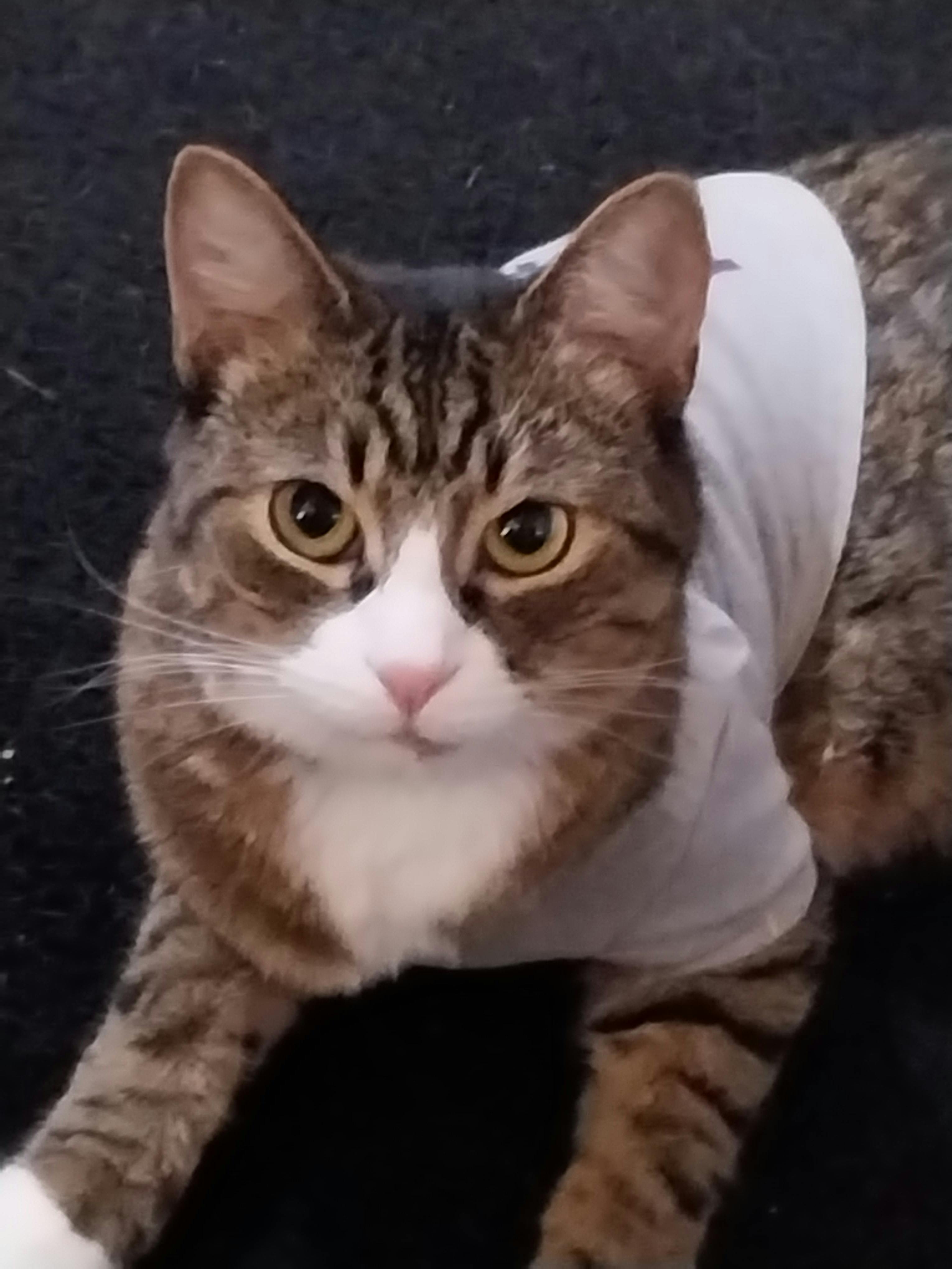 user avatar image for Daniel