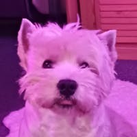 user avatar image for Michy