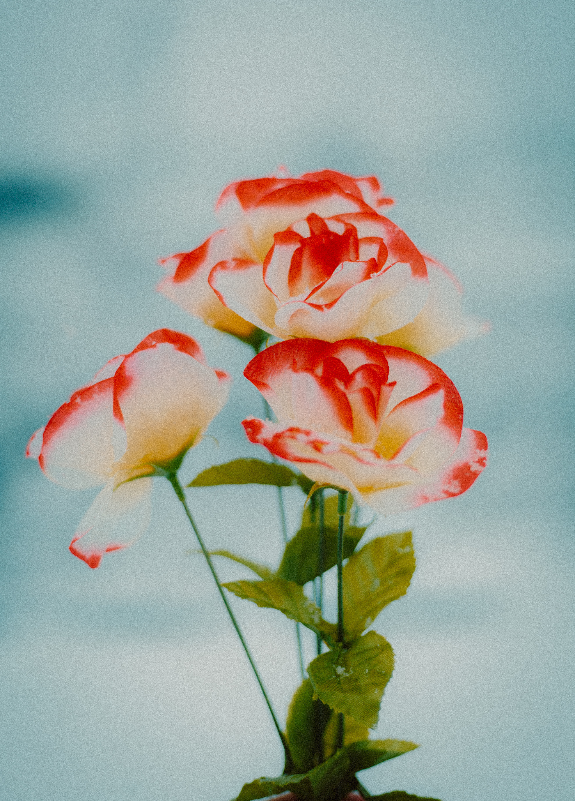 user avatar image for tokyonitetrain