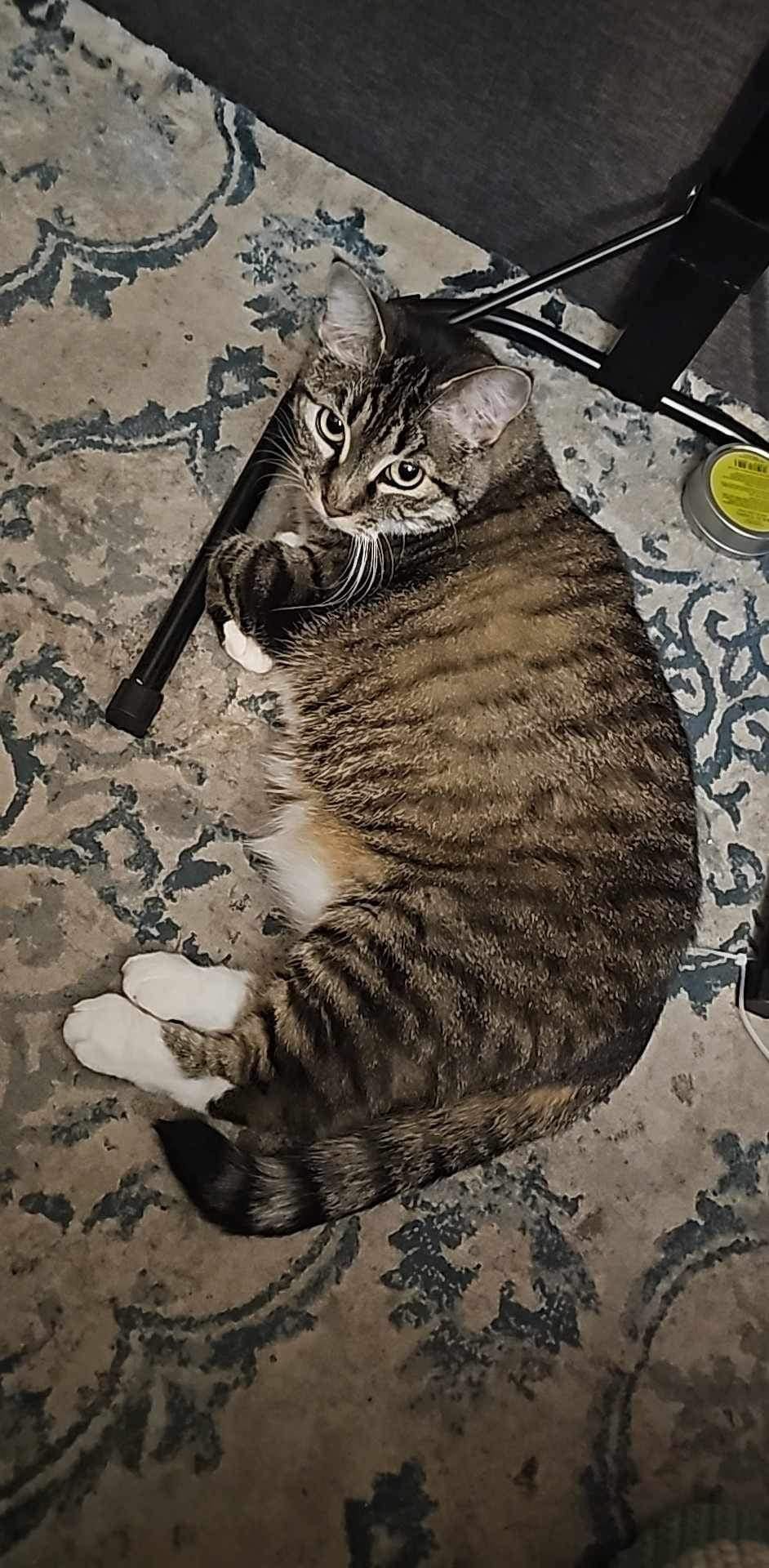 user avatar image for Denise