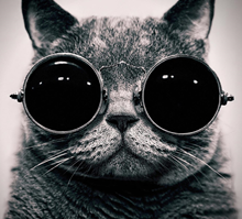 user avatar image for Neyvash