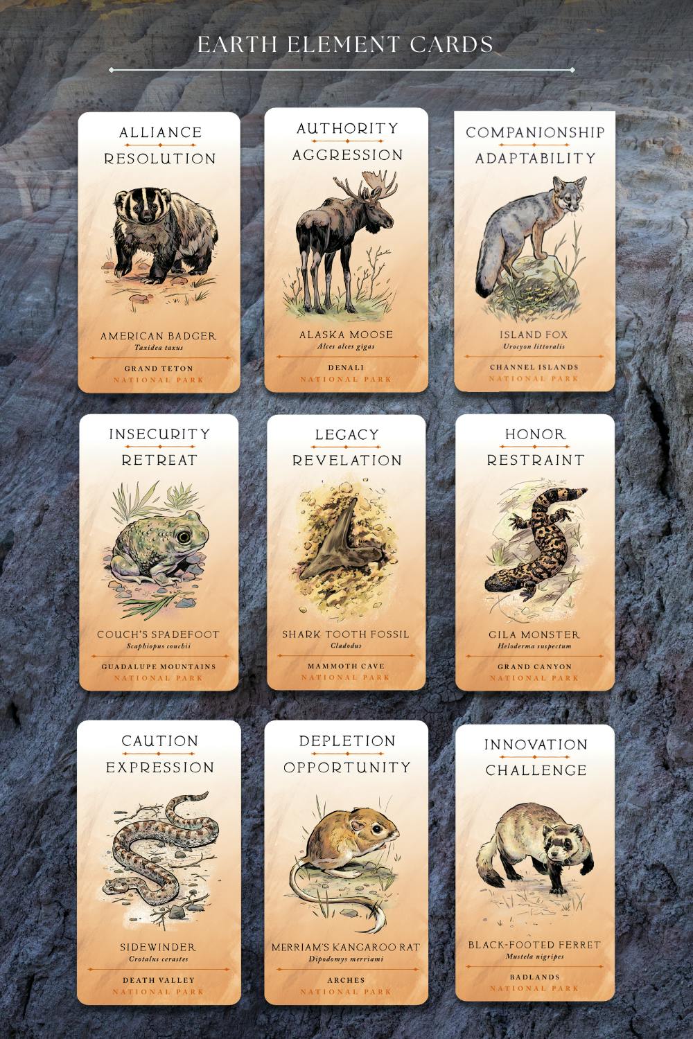 earth element cards including  sidewinder, gila monster, badger, moose, island fox