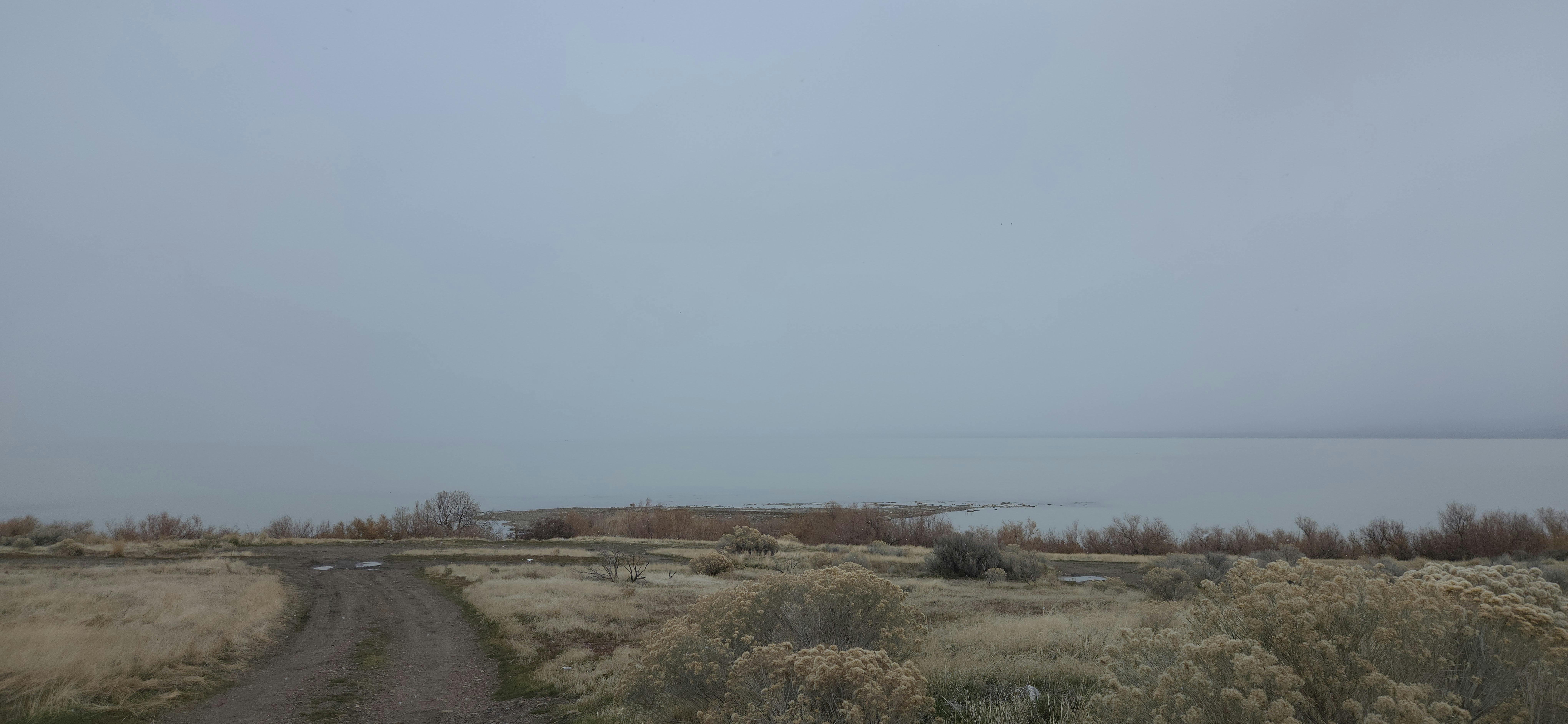 user avatar image for Matthew